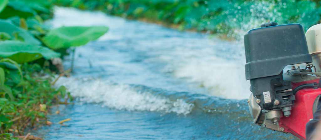 como-seleccionar-la-motobomba-adecuada-para-tus-necesidades-agricolas-guia-practica