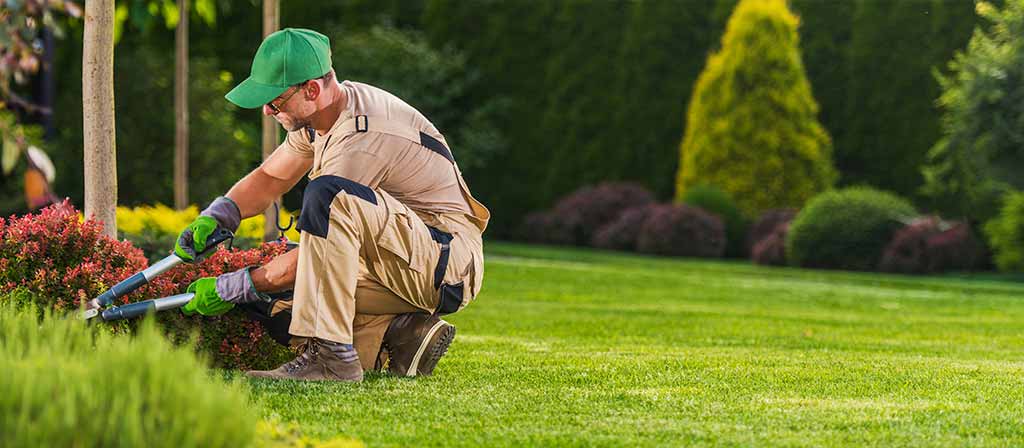 como-cuidar-el-jardin-guia-practica-para-cada-estacion