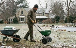 cura-de-la-gespa-a-lhivern-consells-essencials-per-a-un-jardi-saludable